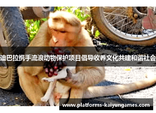 迪巴拉携手流浪动物保护项目倡导收养文化共建和谐社会